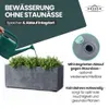 XL Pflanzkasten „Millennium“ 59x25x23 cm - 23L Volumen - Produktbild-Vorschau 6