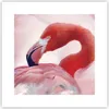 Poster - Poster ohne Rahmen - Flamingo Vogel Porträt - Produktbild-Vorschau 1