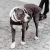 Kentucky Dogwear Hundemantel Original Hundejacke Braun M Produktbild-Vorschau 5