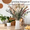 100% Natürliche Trockenblumen,Pampasgras Trockenblumen Produktbild-Vorschau 3