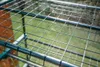 Serre 69*49*160 Cm PVC-folie metalen structuur Productafbeelding-voorbeeld 3