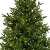 Nordmann Kunstkerstboom LED H210 D150 cm Everlands Productafbeelding-voorbeeld 4