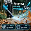 18V akumulátorový foukač listí (5200 mAh) s 850W Náhled obrázku produktu 13