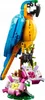 31136 - LEGO Creator - Perroquet exotique Voir les images du produit 3