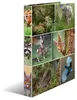 HERMA 2D bosdieren, A4-formaat, zelfklevend, karton, Productafbeelding-voorbeeld 1