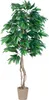 PLANTASIA Umělá rostlina strom, mango, 180 cm Náhled obrázku produktu 3