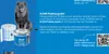 ALSAN Flashing Quadro 5,0 kg - einkomponentiger Polyurethan Produktbild-Vorschau 3
