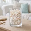 Muschelmix weiß 1 kg 1–6 cm Deko Muscheln Schneckenhäuser Produktbild-Vorschau 6
