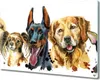 Coloray Schneidebrett Herdabdeckplatte 80x52 cm Produktbild-Vorschau 1
