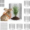 SucceBuy Pack de 6 protections pour plantes, 12,6" de Voir les images du produit 1