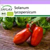 SAFLAX - BIO - Paradajka - San Marzano - Solanum Náhľad obrázku produktu 10