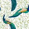 Coloray Fototapete 104x70 cm Vlies-Fototapete - Pfau-Vögel Produktbild-Vorschau 2