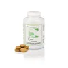 CaniMove neuro - Ergänzungsfuttermittel für Hunde und Produktbild-Vorschau 2