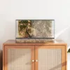 vidaXL Terrarium z półką, przezroczyste, 50 x 30 x 30 cm, Podgląd zdjęcia produktu 4