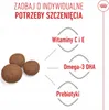Royal Canin Medium Junior - 4 kg Produktbild-Vorschau 6
