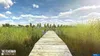 The Fisherman: Fishing Planet Day One Edition [PS4] Produktbild-Vorschau 8