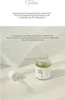 Beauty of Joseon Calming Serum Serum Green Tea + Panthenol Produktbild-Vorschau 18