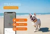 Weenect Weenect Tracker Hund Weiß Produktbild-Vorschau 16