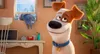 Pets Náhľad obrázku produktu 3