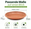 Pflanztopfuntersetzer Mira Terrakotta Ø 19cm - Rund Produktbild-Vorschau 3