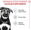 ROYAL CANIN Maxi Puppy - Welpe - Groß (26-44 kg) - Reis - Náhled obrázku produktu 6