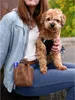 Greenburry Hunde Leckerlibeutel Leckerlitasche Futtertasche Produktbild-Vorschau 4