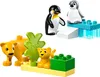 LEGO DUPLO Wildtier-Familien: Pinguine und Löwen – Produktbild-Vorschau 8