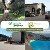 A collage of images related to olive oil production and a scenic beach. Produktbild-Vorschau