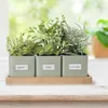 Three herb pots with labels on a wooden tray, placed on a wooden surface, with a blurred green and white background. Produktbild-Vorschau