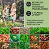 Blumfeldt Podwyższona grządka z metalu, Odporna na warunki Podgląd zdjęcia produktu 6