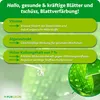 Purgrün -Vinasse-Dünger 1 Liter Produktbild-Vorschau 3