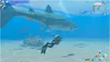 Nintendo Endless Ocean Luminous Produktbild-Vorschau 6