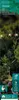 Solar powered garden lights in a garden setting. Produktbild-Vorschau