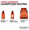 Redken Frizz Dismiss šampón 300ml Náhľad obrázku produktu 13