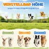 UISEBRT Agility Hürdenset für Hunde 4 Stück Grün, Produktbild-Vorschau 4