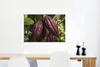 MuchoWow® Poster Rote Kakaobohnen in den Schoten im Produktbild-Vorschau 5