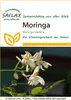 SAFLAX  - Moringa - 10 graines - Moringa Voir les images du produit 10