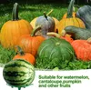 10 supports de pastèque, berceau de melon, support de Voir les images du produit 3