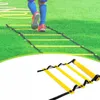 Treningowa Drabinka Do Ćwiczeń Koordynacyjna 6m Podgląd zdjęcia produktu 5