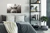 MuchoWow® Poster Schottischer Highlander - Kuh - Tiere - Produktbild-Vorschau 4