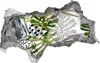 Selbstklebender Loch-3D-Aufkleber 95x73 cm tropische Produktbild-Vorschau 1
