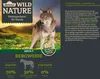 Dehner Wild Nature Hundefutter Bergweide, Nassfutter Produktbild-Vorschau 2