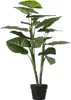 Mica Decorations Taro plante artificielle - H100 x Ø70 cm Voir les images du produit 1