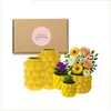 MISOU Zitronenvase – 5 Arten Blumentopf mit Zitronen – Produktbild-Vorschau 13