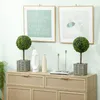 HOMCOM Kunstmatig buxus, set van 2, 50 cm. Kunstplant met Productafbeelding-voorbeeld 2