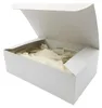 Holthaus Ypsipor cerotti per iniezione, 2,0 x 6 cm, Anteprima dell’immagine prodotto 1