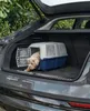 Lionto transportbox voor dieren, robuuste transportbox van Productafbeelding-voorbeeld 5