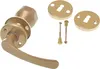 A set of door hardware, including a lever handle, knob, and two rosettes, is displayed against a white background. Náhled obrázku produktu