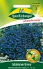 Artikelbild 1 von 'Männertreu Kristallpalast' aus der Kategorie Blumensamen Produktbild-Vorschau