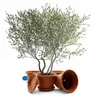 BigDean 4 Stück Blumentopf mit Untersetzer rund ø 40 cm Produktbild-Vorschau 1